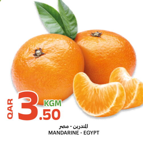 from Egypt available at Al Baladi Al Yawm in Qatar - Al Shamal