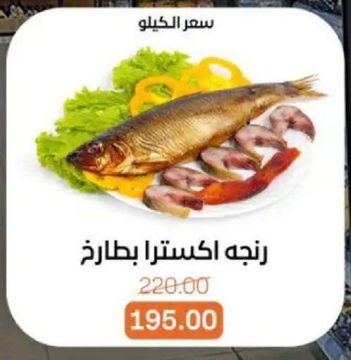 available at بيت الجملة in Egypt - القاهرة