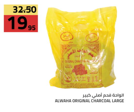 available at أسواق أسترا in مملكة العربية السعودية, السعودية, سعودية - تبوك