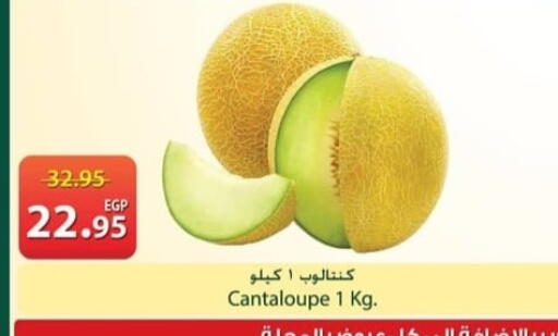 Cantaloupe available at سبينس in Egypt - القاهرة