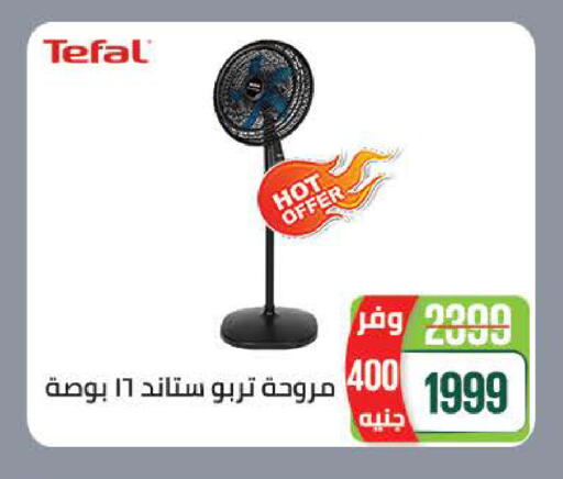 available at سعودي سوبرماركت in Egypt - القاهرة