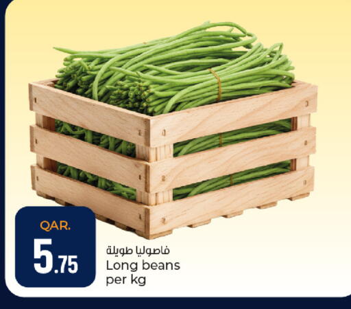 available at Paris Hypermarket in Qatar - Al Rayyan