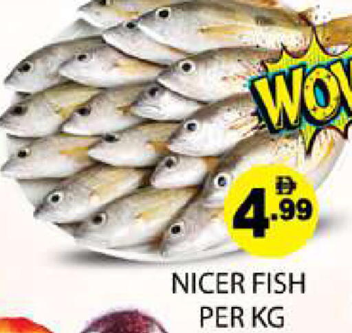 available at Zain Mart Supermarket in UAE - Ras al Khaimah
