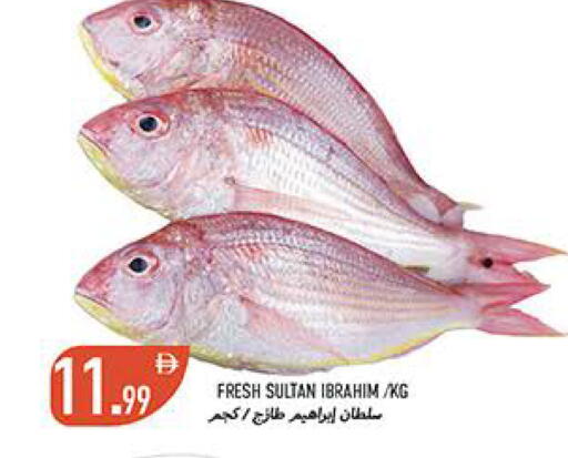 available at  روابي ماركت عجمان in الإمارات العربية المتحدة , الامارات - الشارقة / عجمان