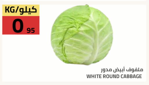 Cabbage available at Astra Markets in KSA, Saudi Arabia, Saudi - Tabuk