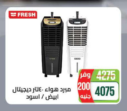 available at سعودي سوبرماركت in Egypt - القاهرة