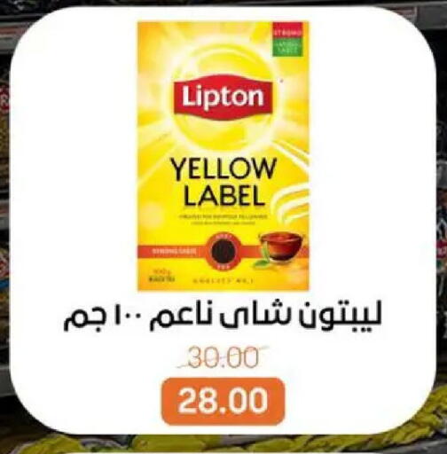 available at بيت الجملة in Egypt - القاهرة