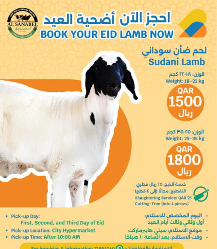 available at سيتي هايبرماركت in قطر - الضعاين