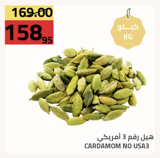 Cardamom available at Astra Markets in KSA, Saudi Arabia, Saudi - Tabuk