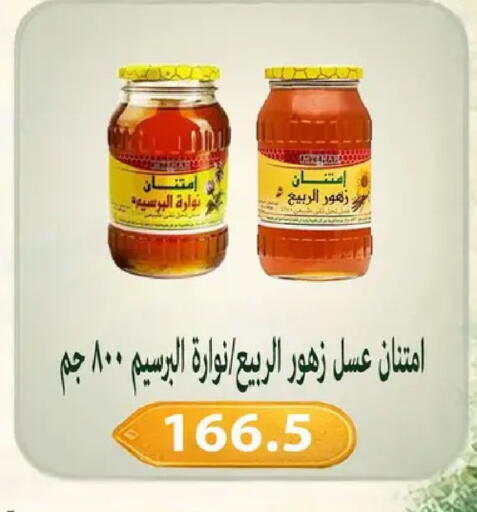 available at Hyper Samy Salama Sons in Egypt - Cairo