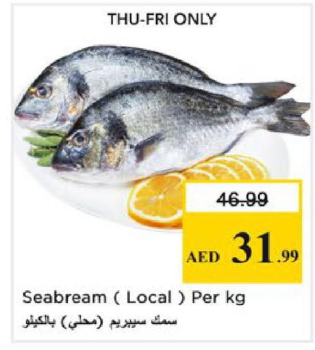 available at نستو هايبرماركت in الإمارات العربية المتحدة , الامارات - رَأْس ٱلْخَيْمَة