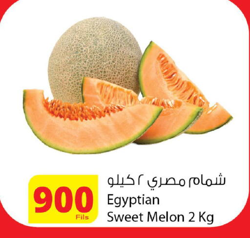 Melon from Egypt available at Agricultural Food Products Co. in Kuwait - Kuwait City