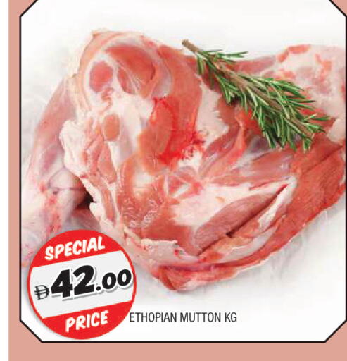 available at المدينة in الإمارات العربية المتحدة , الامارات - الشارقة / عجمان
