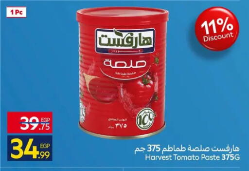Tomato available at كارفور in Egypt - القاهرة