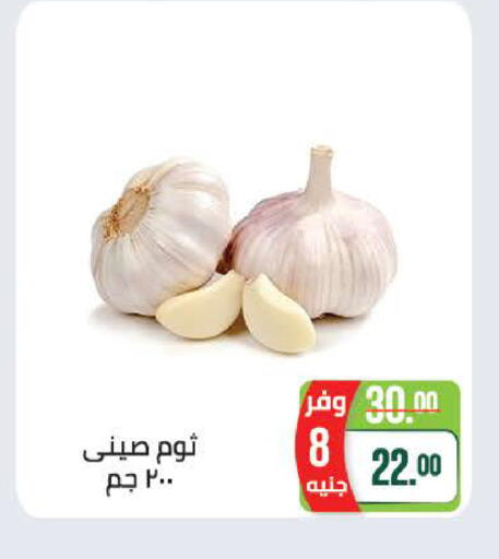available at سعودي سوبرماركت in Egypt - القاهرة