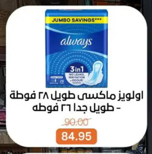 available at بيت الجملة in Egypt - القاهرة