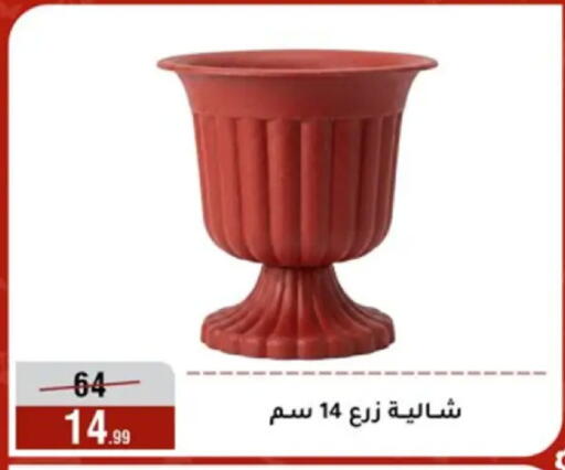 available at المرشدي in Egypt - القاهرة