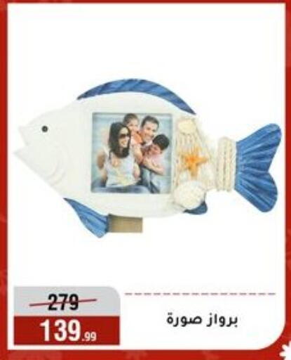 available at المرشدي in Egypt - القاهرة