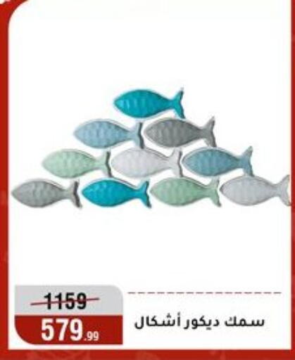 available at المرشدي in Egypt - القاهرة