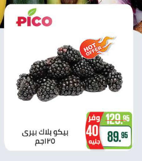 available at سعودي سوبرماركت in Egypt - القاهرة