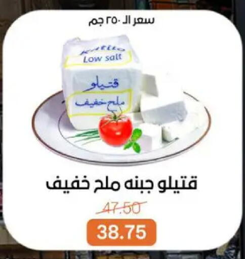 available at بيت الجملة in Egypt - القاهرة