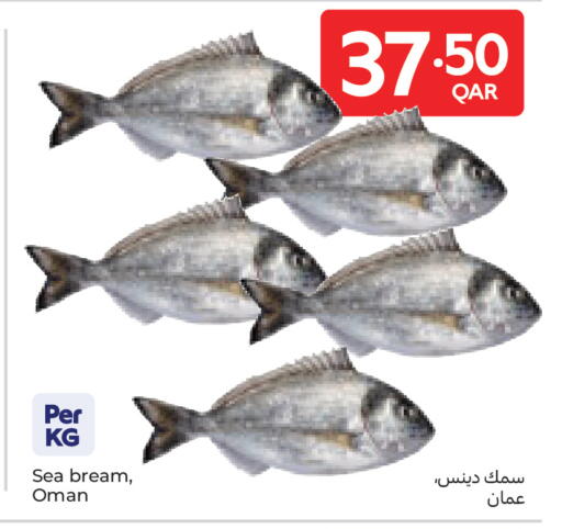 available at Carrefour in Qatar - Al-Shahaniya