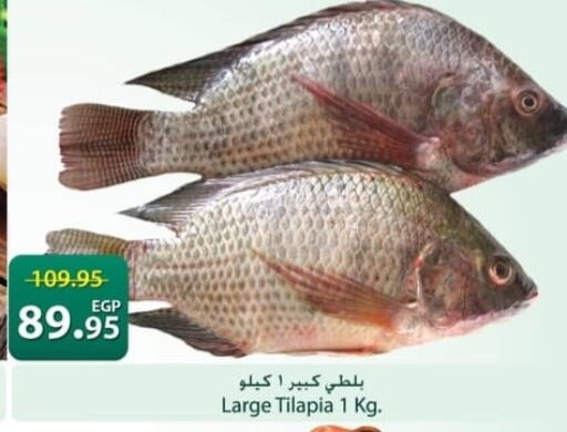 available at سبينس in Egypt - القاهرة