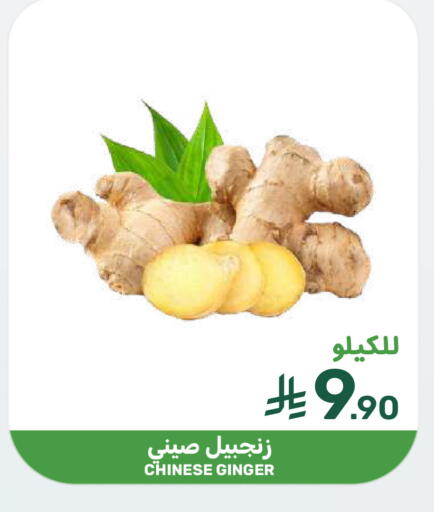 Ginger from China available at  مـزايــا in مملكة العربية السعودية, السعودية, سعودية - المنطقة الشرقية