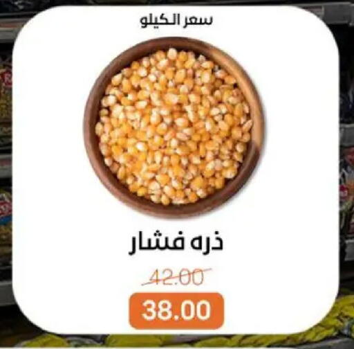 available at بيت الجملة in Egypt - القاهرة