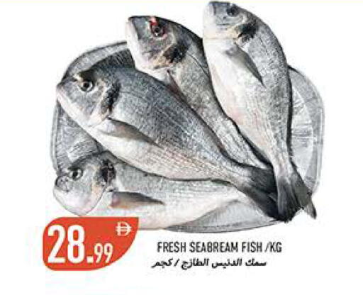 available at  روابي ماركت عجمان in الإمارات العربية المتحدة , الامارات - الشارقة / عجمان