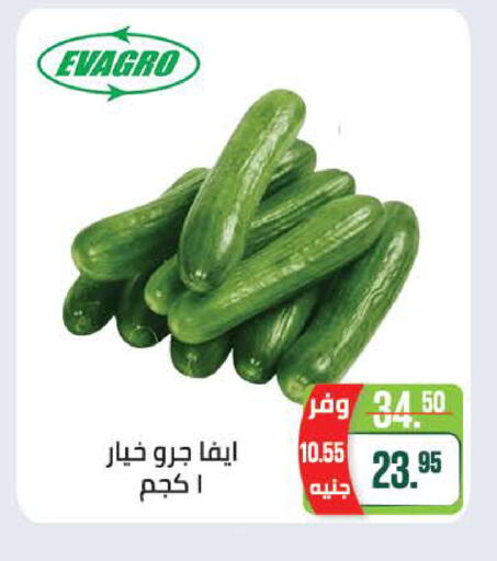available at سعودي سوبرماركت in Egypt - القاهرة