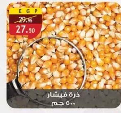 available at Al Rayah Market   in Egypt - Cairo