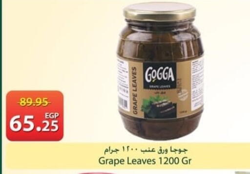 available at سبينس in Egypt - القاهرة