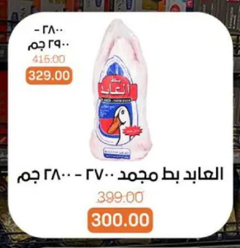 available at بيت الجملة in Egypt - القاهرة