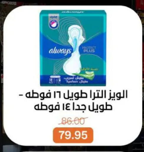 available at بيت الجملة in Egypt - القاهرة