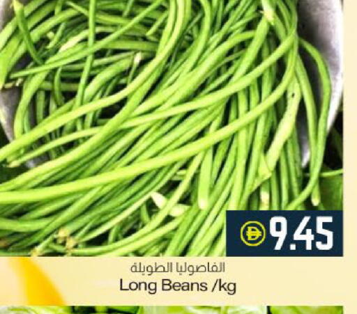 available at ميم ساجدة in الإمارات العربية المتحدة , الامارات - ٱلْفُجَيْرَة‎