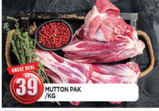 available at المدينة in الإمارات العربية المتحدة , الامارات - الشارقة / عجمان
