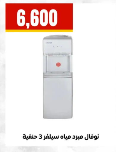 available at مارت فيل in Egypt - القاهرة