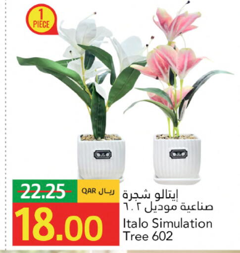 available at Gulf Food Center in Qatar - Doha