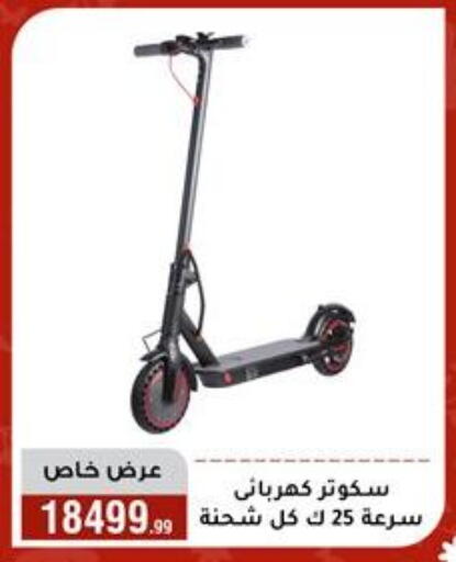 available at Al Morshedy  in Egypt - Cairo