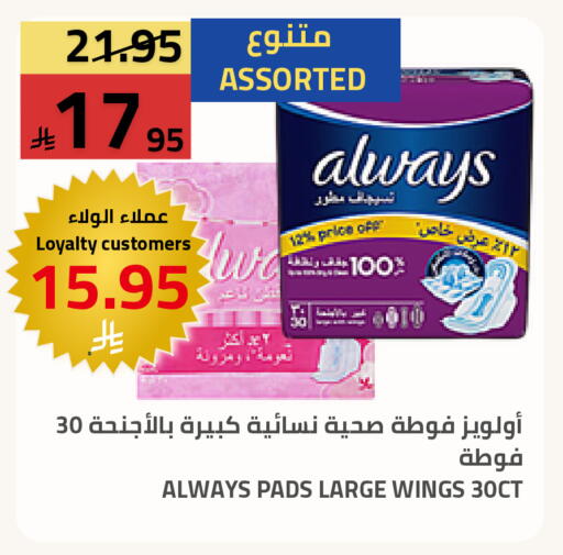 available at Astra Markets in KSA, Saudi Arabia, Saudi - Tabuk