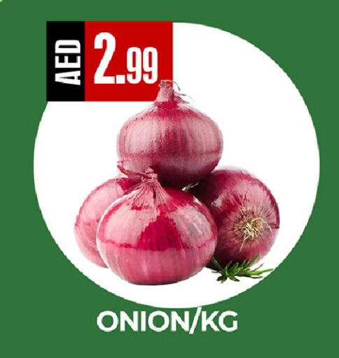 Onion available at  RIVIERA SUPERMARKET L.L.C in UAE - Abu Dhabi