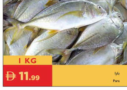 available at Istanbul Supermarket in UAE - Sharjah / Ajman