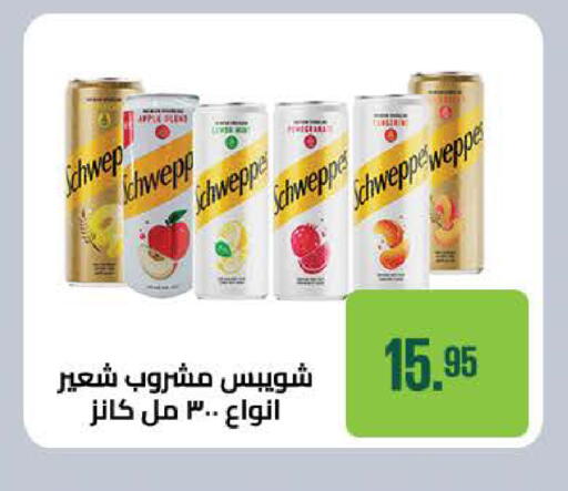 available at سعودي سوبرماركت in Egypt - القاهرة