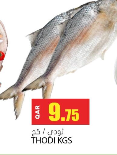available at Grand Hypermarket in Qatar - Al-Shahaniya