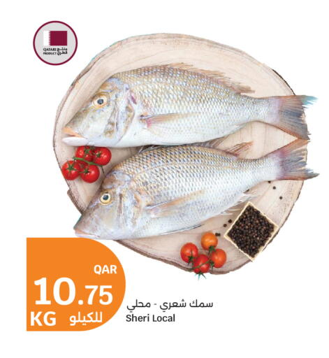 available at City Hypermarket in Qatar - Doha