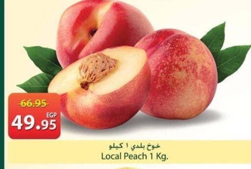 Peach available at سبينس in Egypt - القاهرة