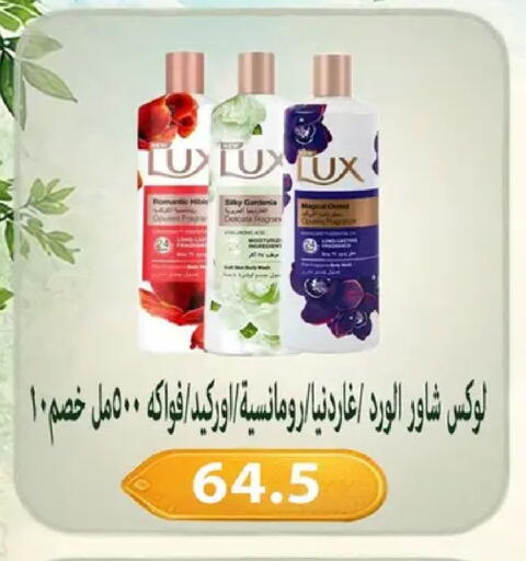 available at Hyper Samy Salama Sons in Egypt - Cairo