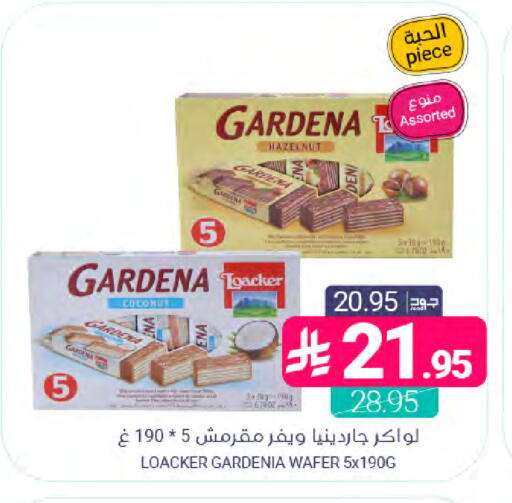 Coconut available at Muntazah Markets in KSA, Saudi Arabia, Saudi - Dammam