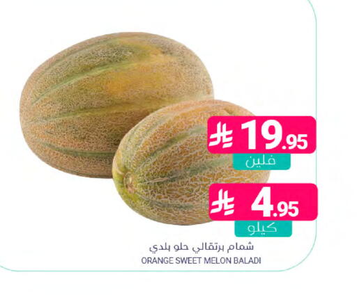 Orange Melon available at Muntazah Markets in KSA, Saudi Arabia, Saudi - Dammam